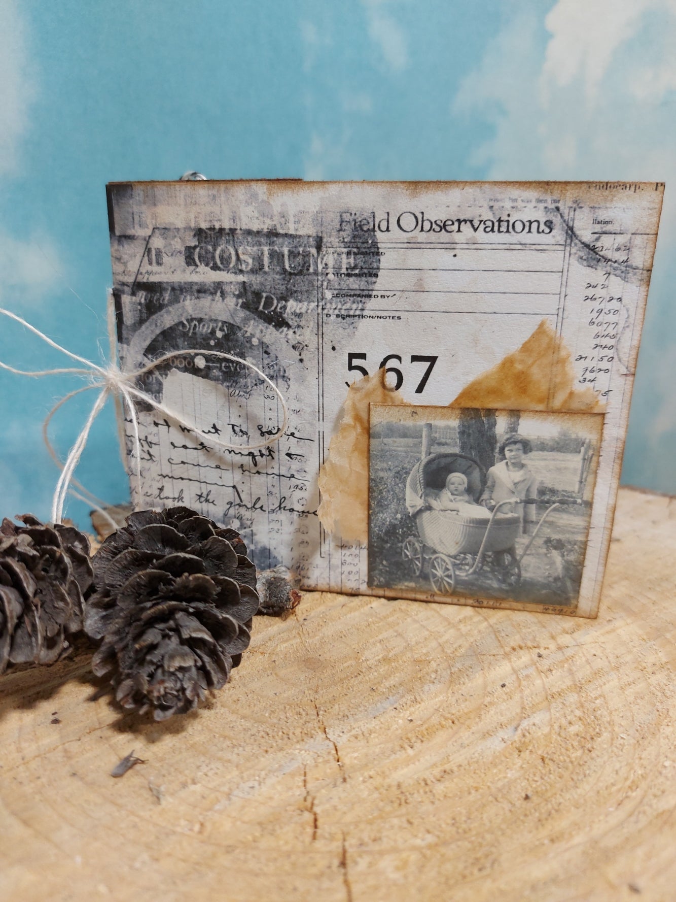 DIY Project ~ Whatnot book kit