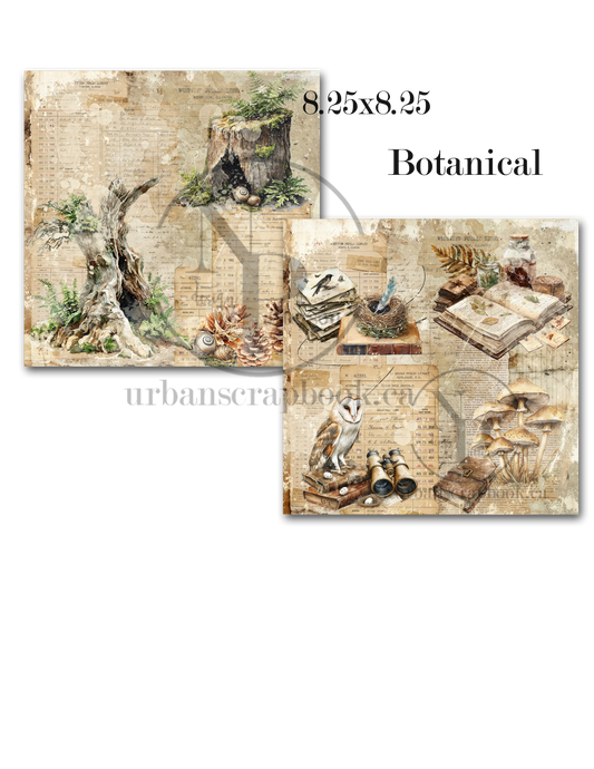 DIY Project ~ Botanical paper collection