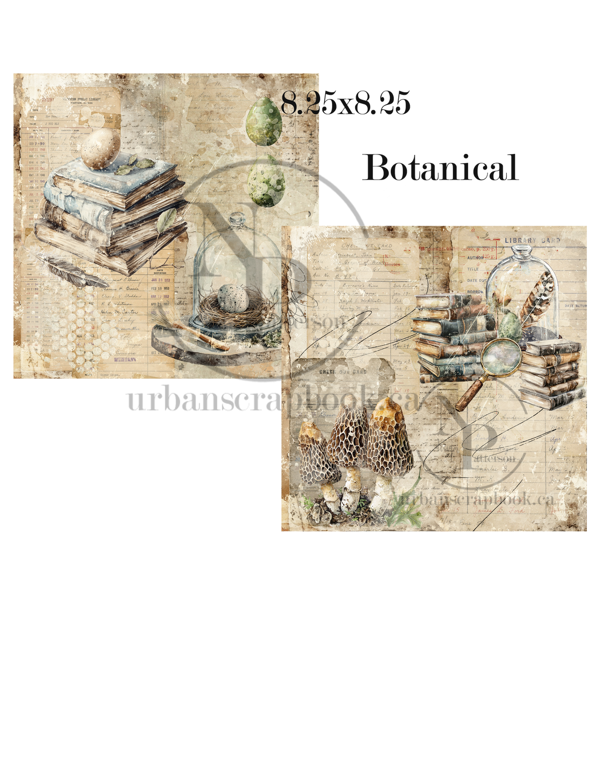 Two botanical-themed scrapbook paper designs displayed on a white background, with text indicating dimensions 8.25x8.
