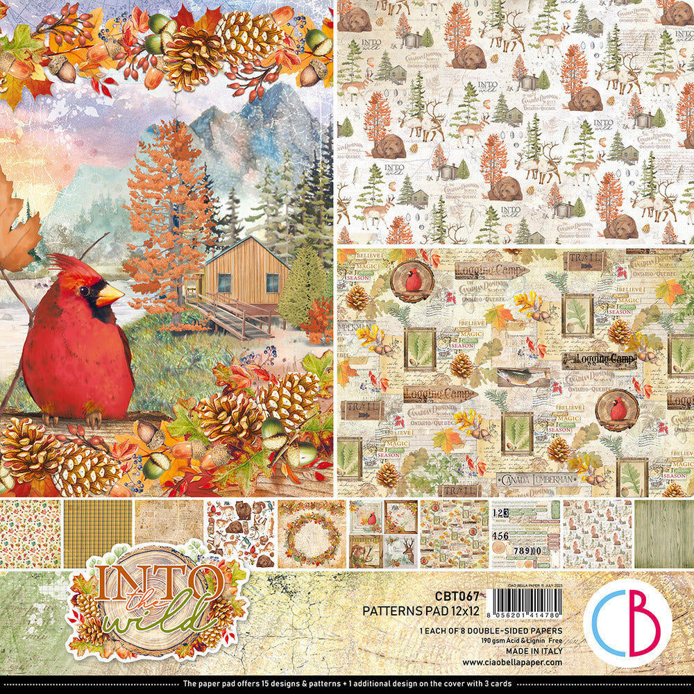 Ciao Bella - 12X12 Patterns Paper Pad, Into The Wild