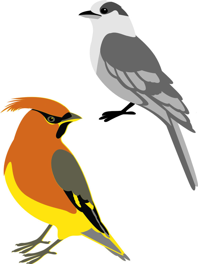 Prism Studio - Chroma-cuts layering die set: Canada jay + Cedar waxwing