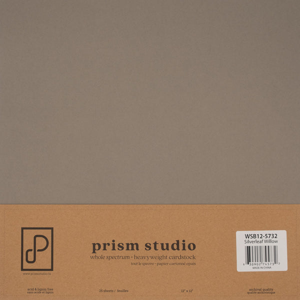 Prism Studio - Silverleaf Willow 12x12 cardstock 25 sheets
