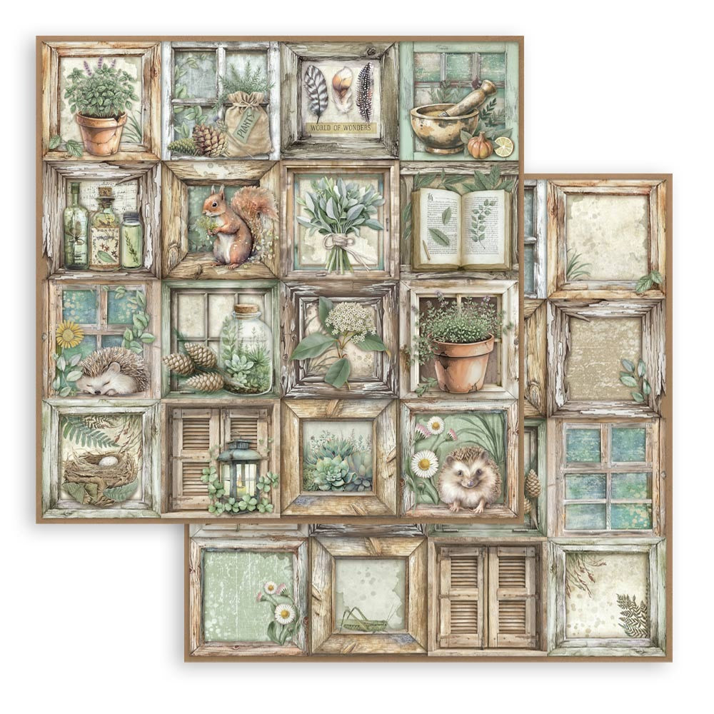 Stamperia Herbarium Silvae - 12x12 Designer Paper - Frames