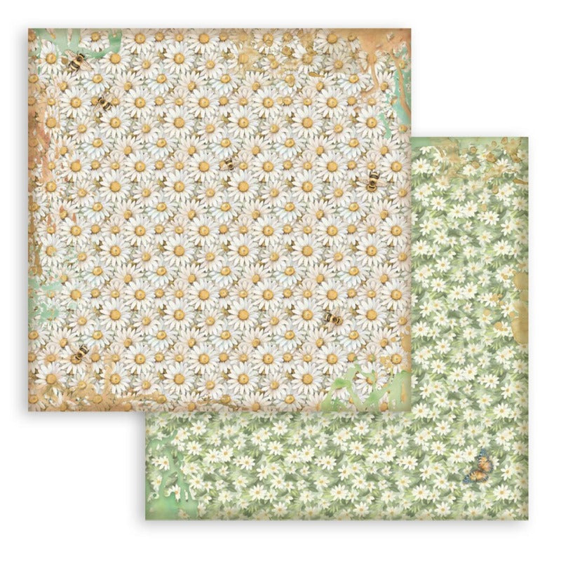 Stamperia Daisy Art - 8x8 Paper Pack Backgrounds