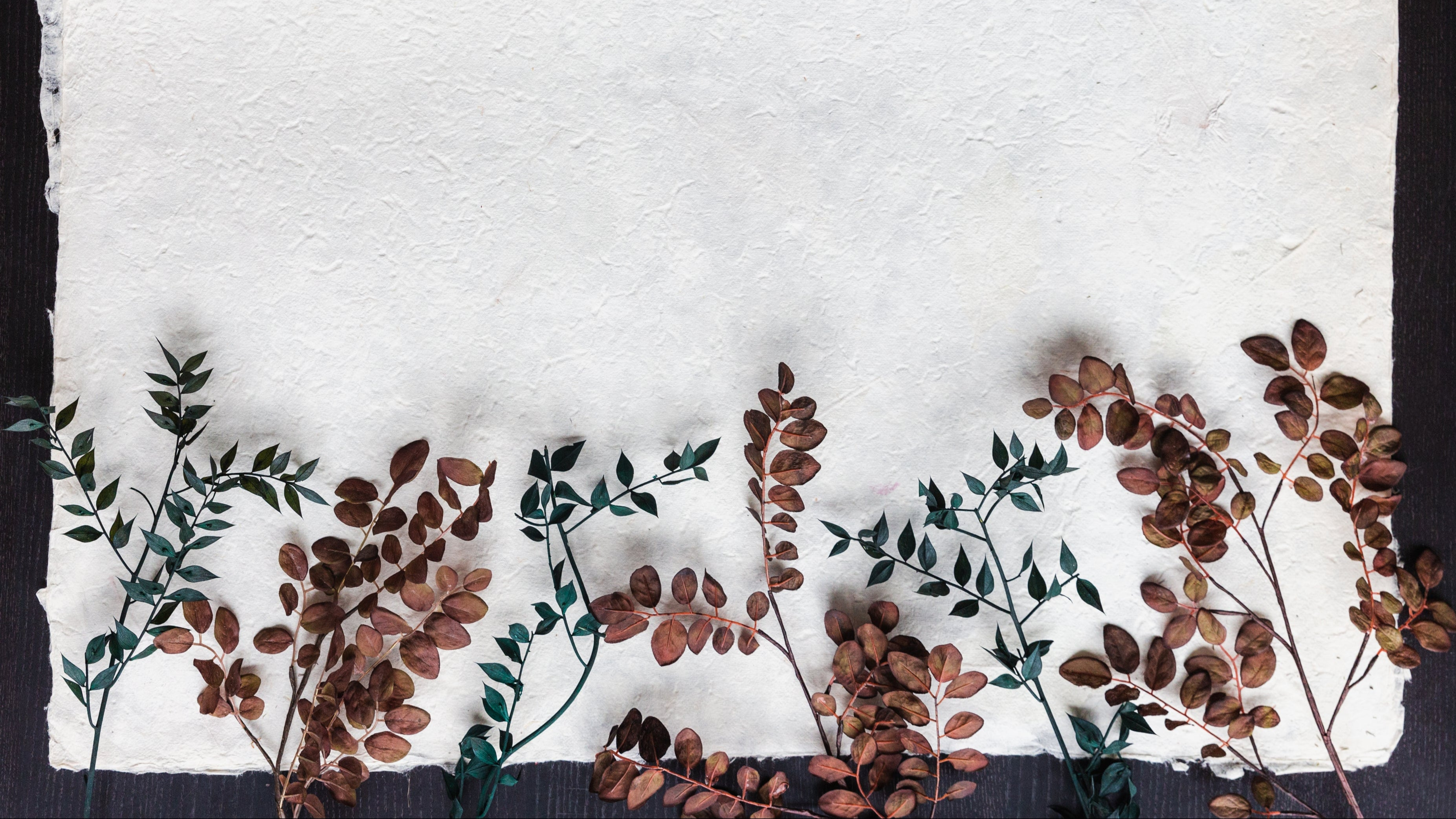 dried-leaves-on-branches-and-paper-background