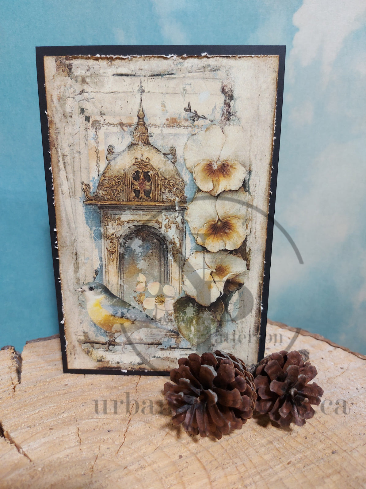 DIY Project ~ Pop up cards (two card kit)
