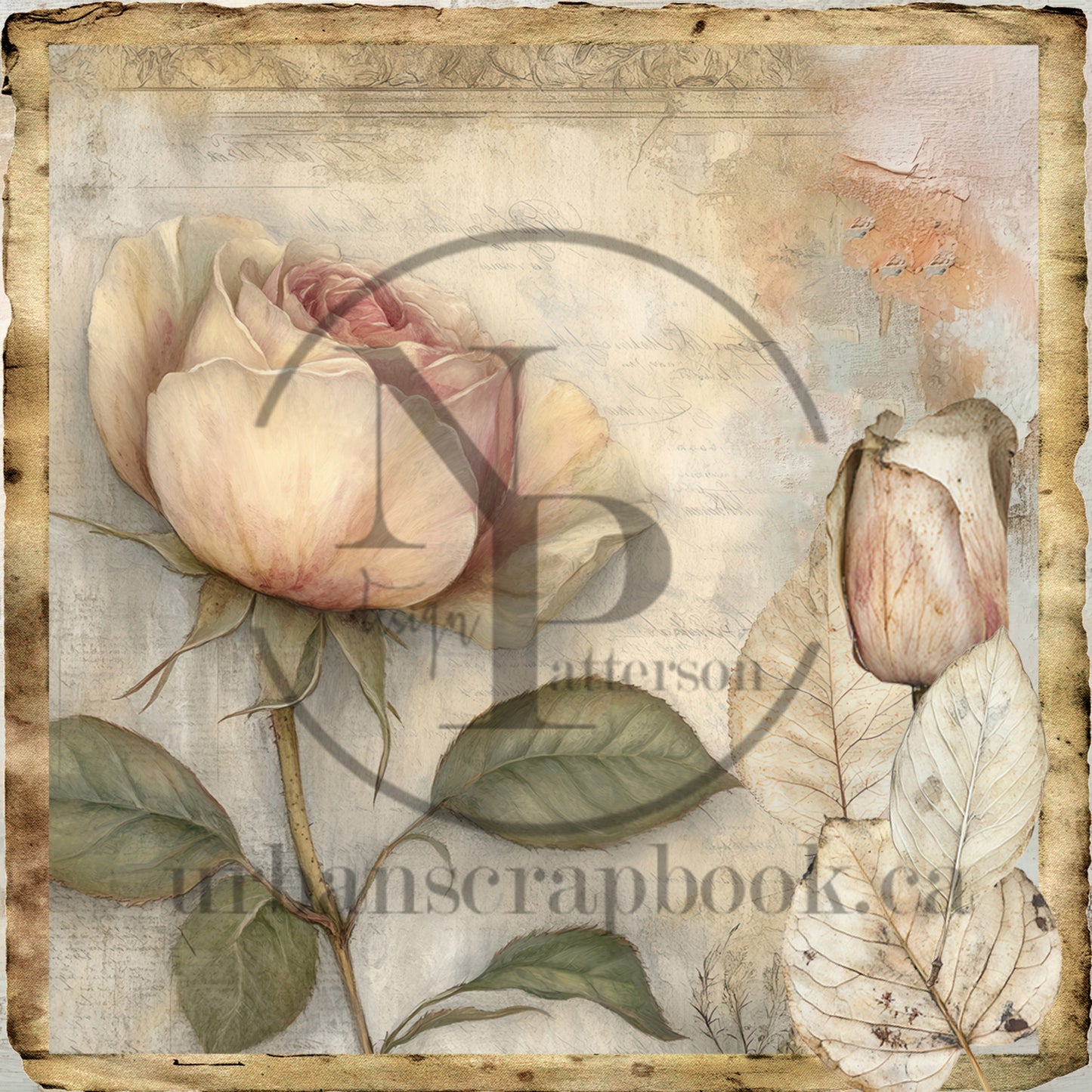 DIY Project ~ Quintessential paper collection