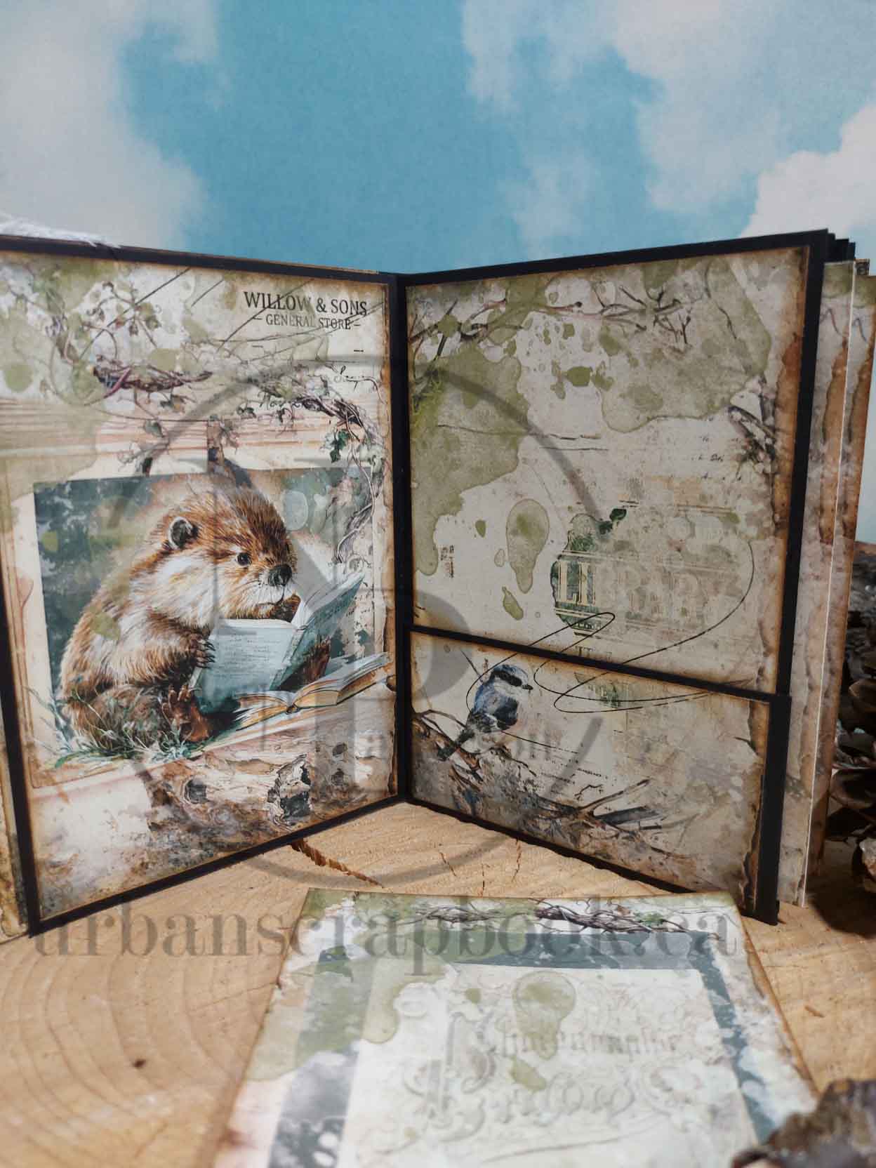 Class ~ Forest Reading Album, Kit Only