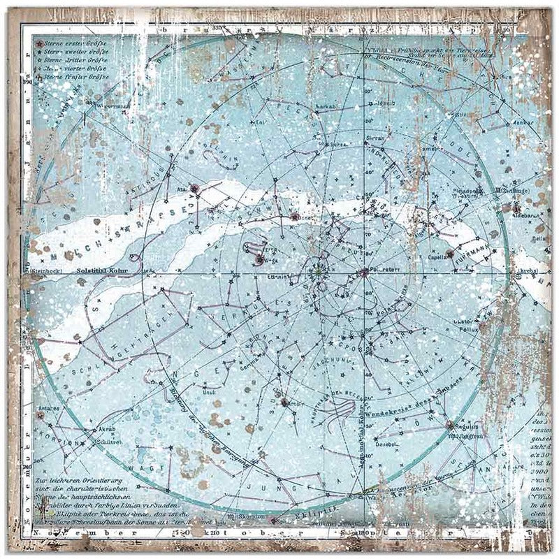 Stamperia - 12x12 Designer Paper - Arctic Antarctic - Arctic