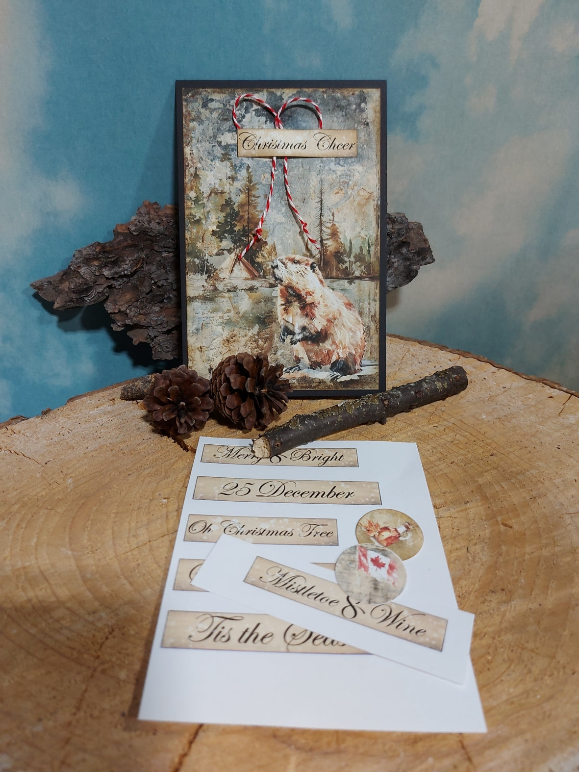 DIY Project ~Oh Canada Card set
