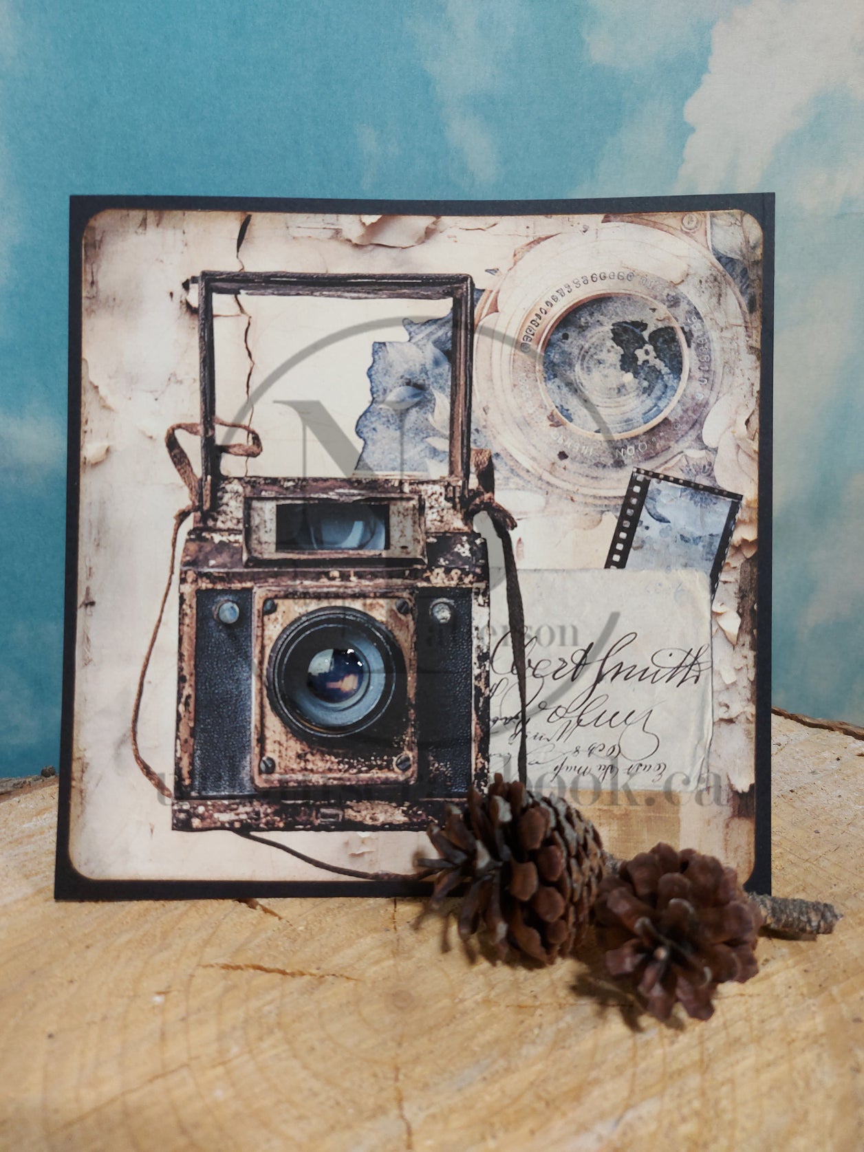 DIY Project ~ Cameras paper collection