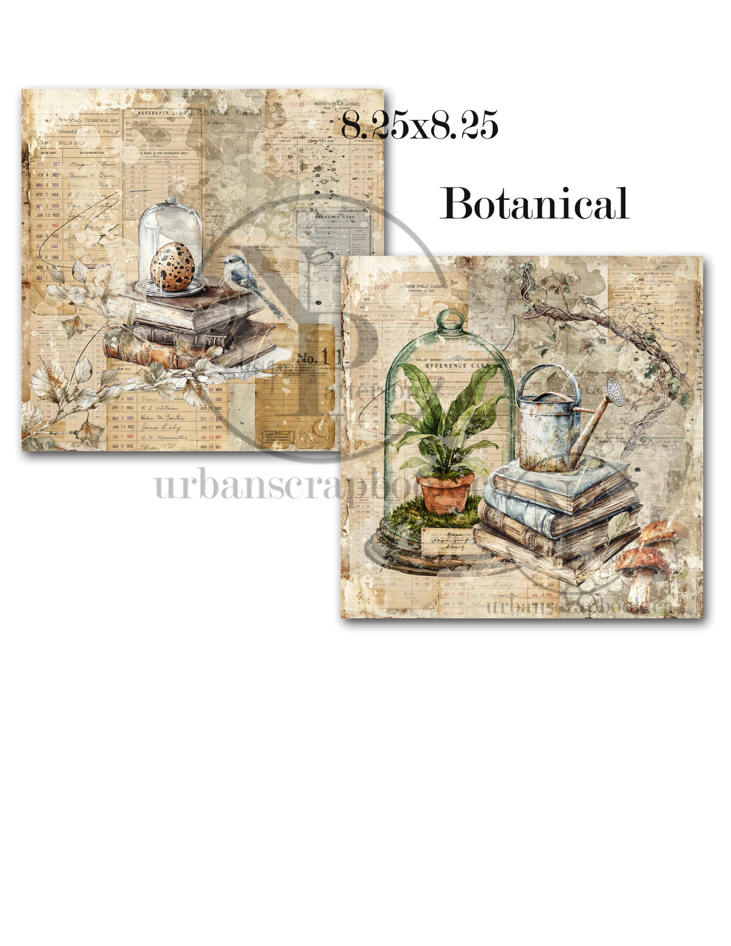 DIY Project ~ Botanical paper collection