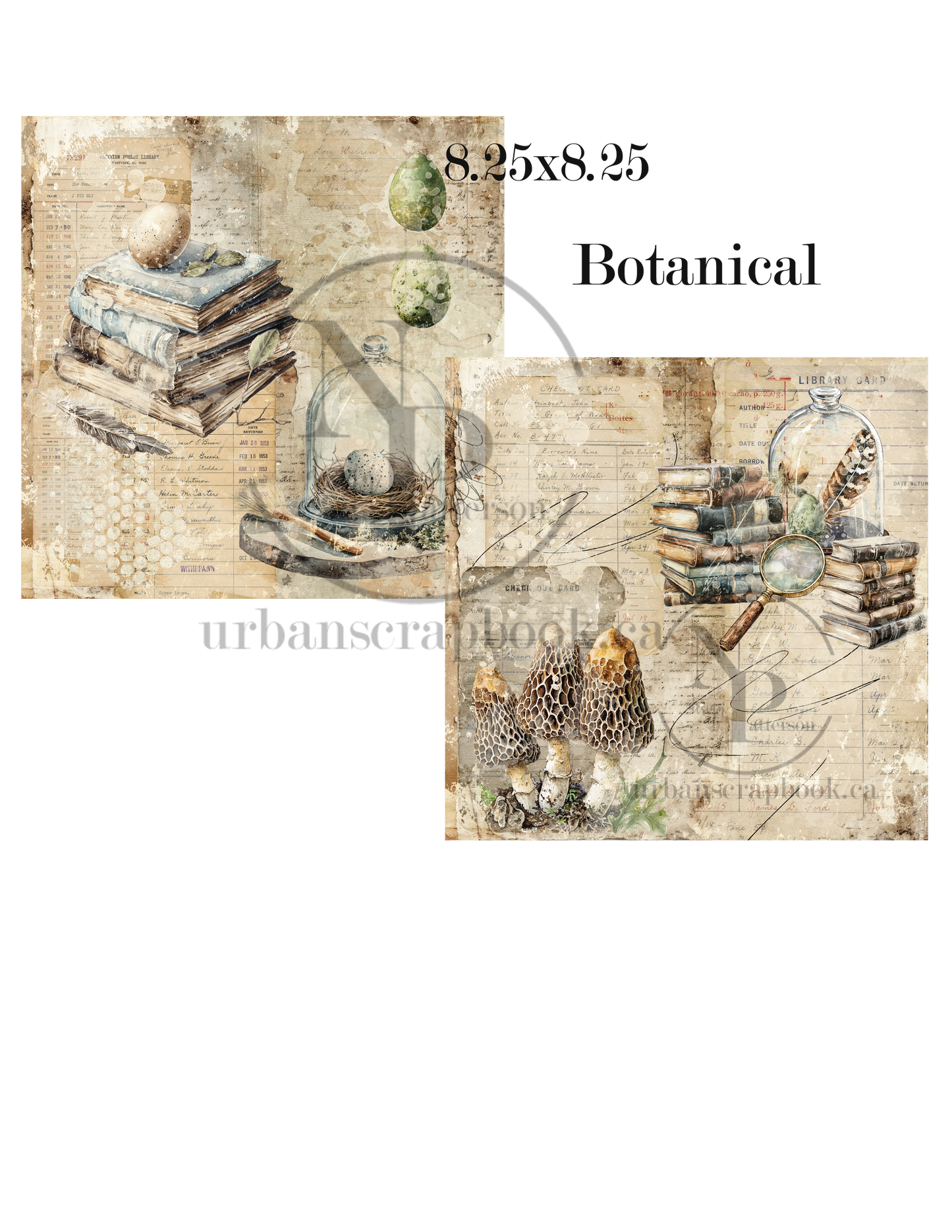 DIY Project ~ Botanical paper collection