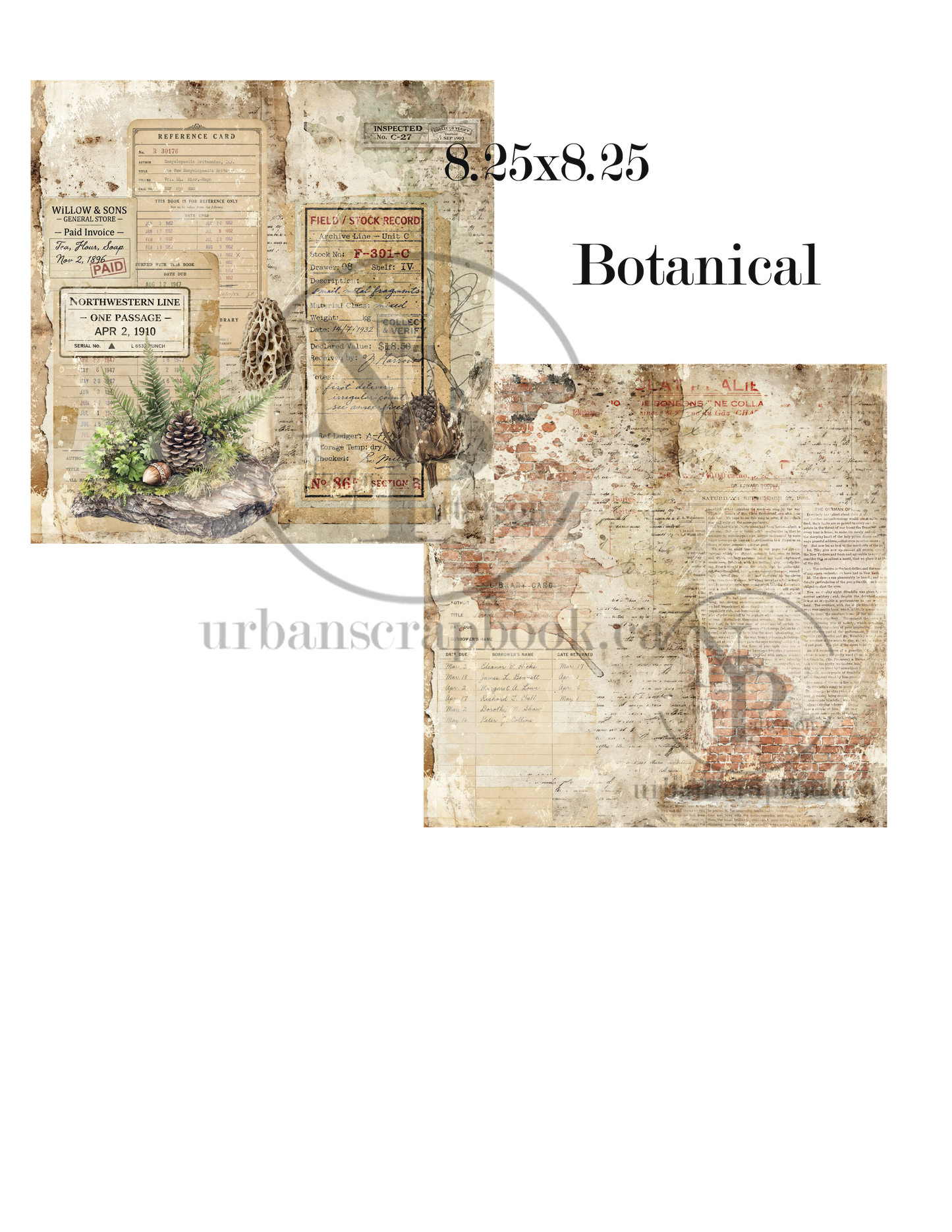 DIY Project ~ Botanical paper collection