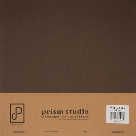 Prism Studio - Bulrush 12x12 cardstock 25 sheets