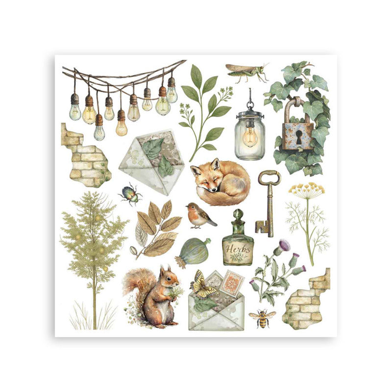 Stamperia Herbarium Silvae - Rub On Kit