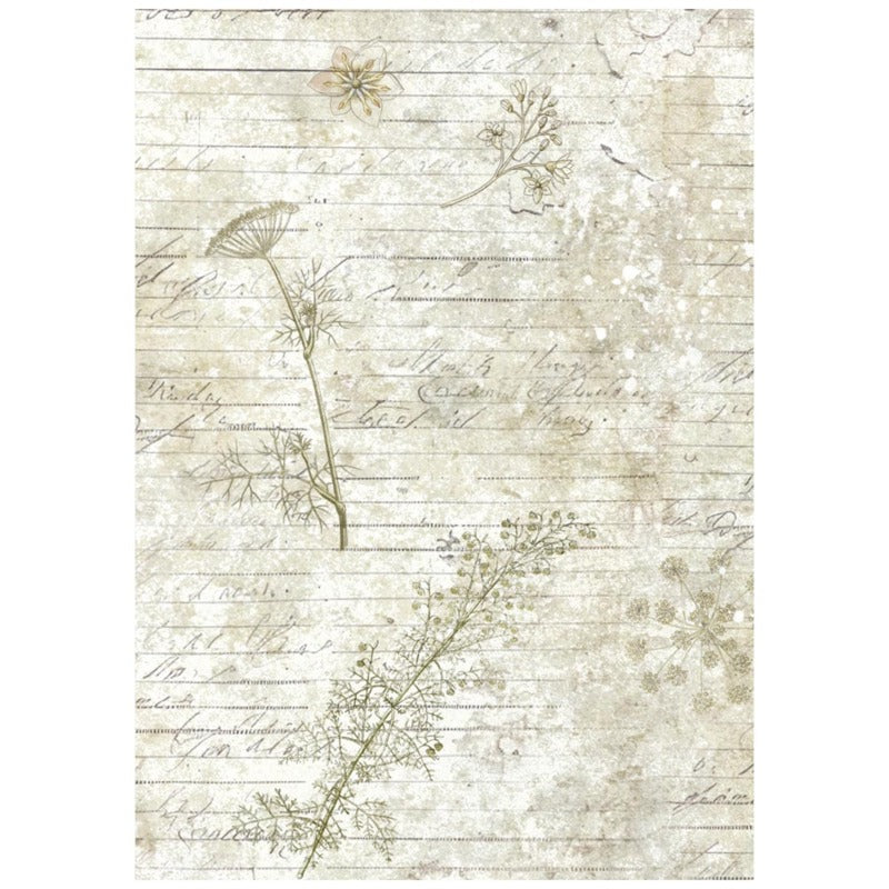 Stamperia Herbarium Silvae - A6 Rice Paper Backgrounds