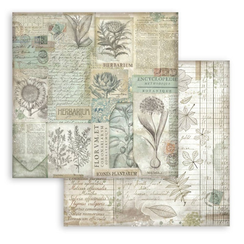 Stamperia Herbarium Silvae - 8x8 Backgrounds Selection