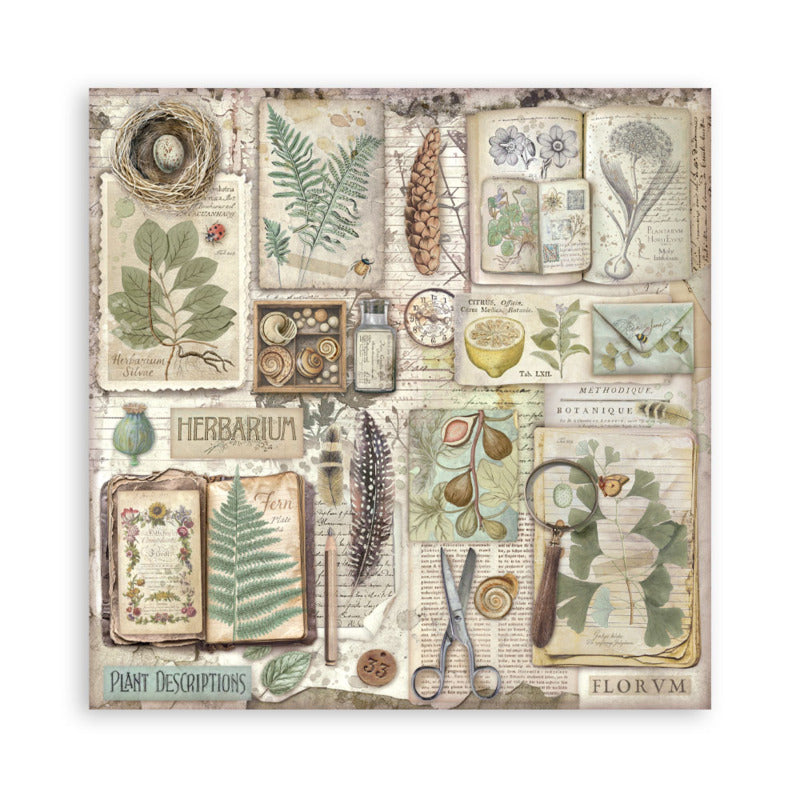 Stamperia Herbarium Silvae - 12x12 Maxi Paper Collection
