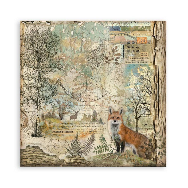 Stamperia - 12x12 Maxi Paper Pack - Forest *bonus papers*