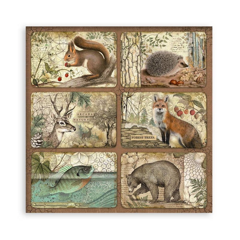 Stamperia - 12x12 Maxi Paper Pack - Forest *bonus papers*