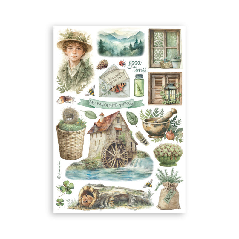 Stamperia Herbarium Silvae - Washi Pad