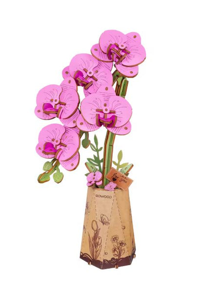 Pink orchid flowers in a decorative vase on a white background