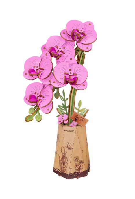 Pink orchid flowers in a decorative vase on a white background