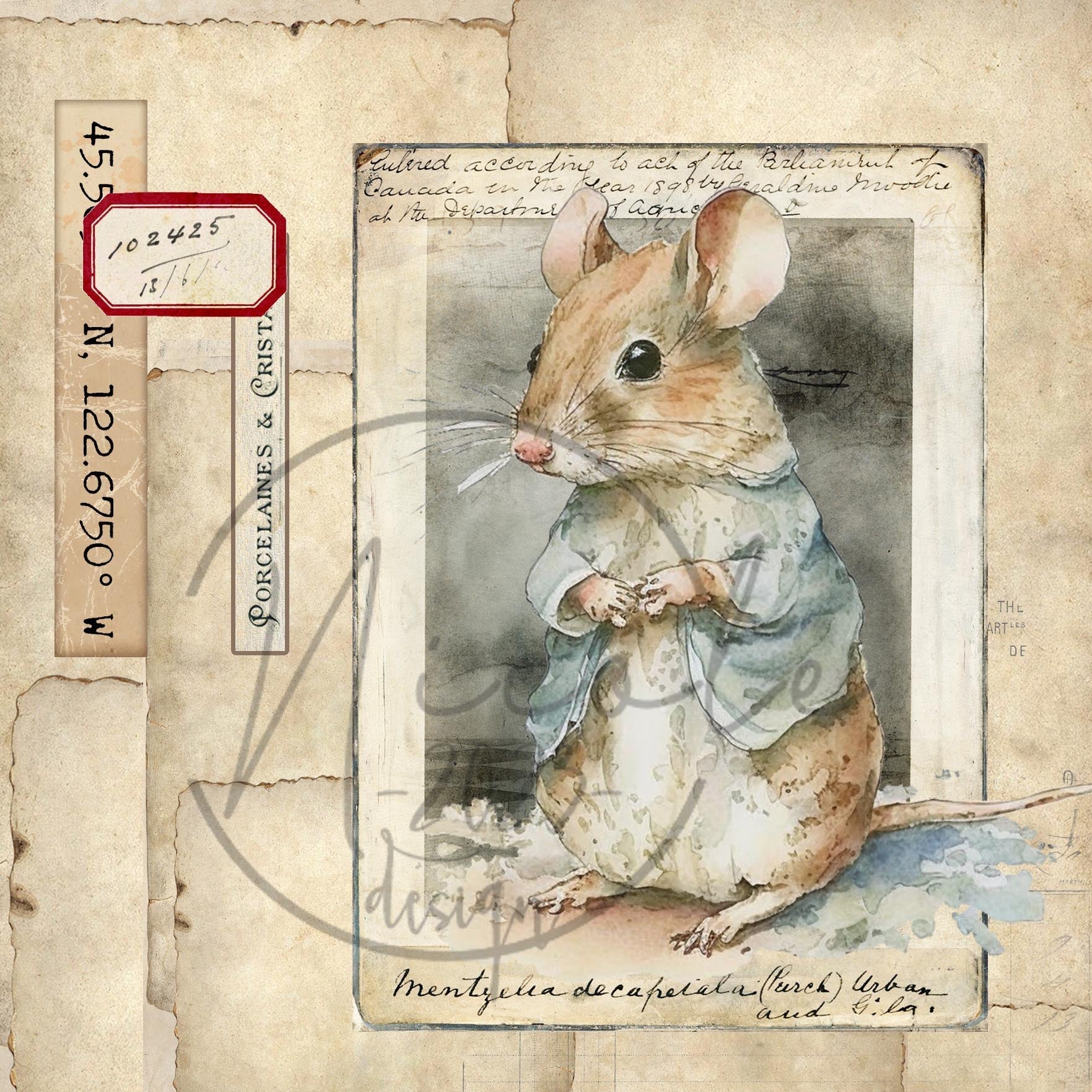 Project Page kit - Storybook Paper collection