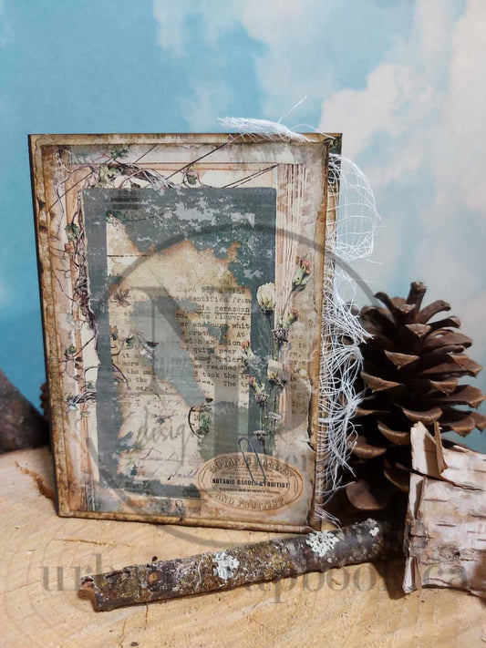 Class ~ Forest Reading Album, kits available