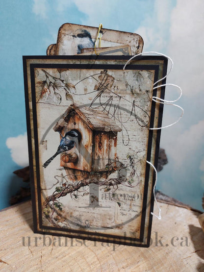 Class ~ NSD Oologist Study Album, Kit Only