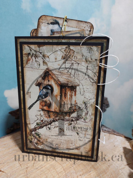 Class ~ NSD Oologist Study Album, kits available