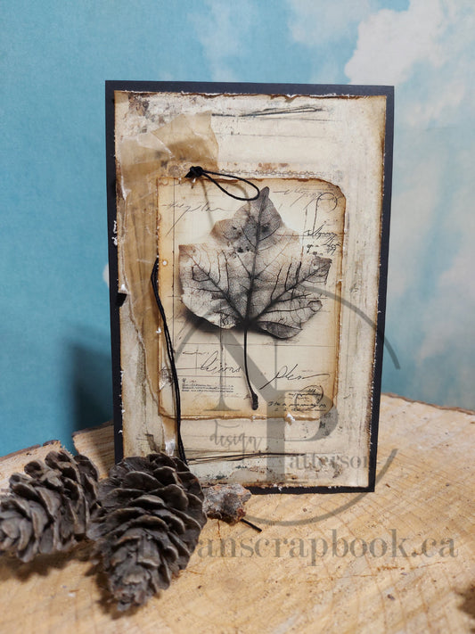 DIY Project ~ Pop up cards (two card kit)