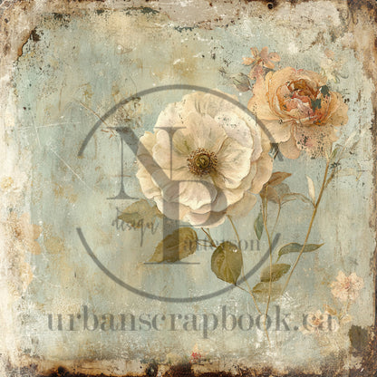 Urban's Own Copy right Image Dusty Roses 