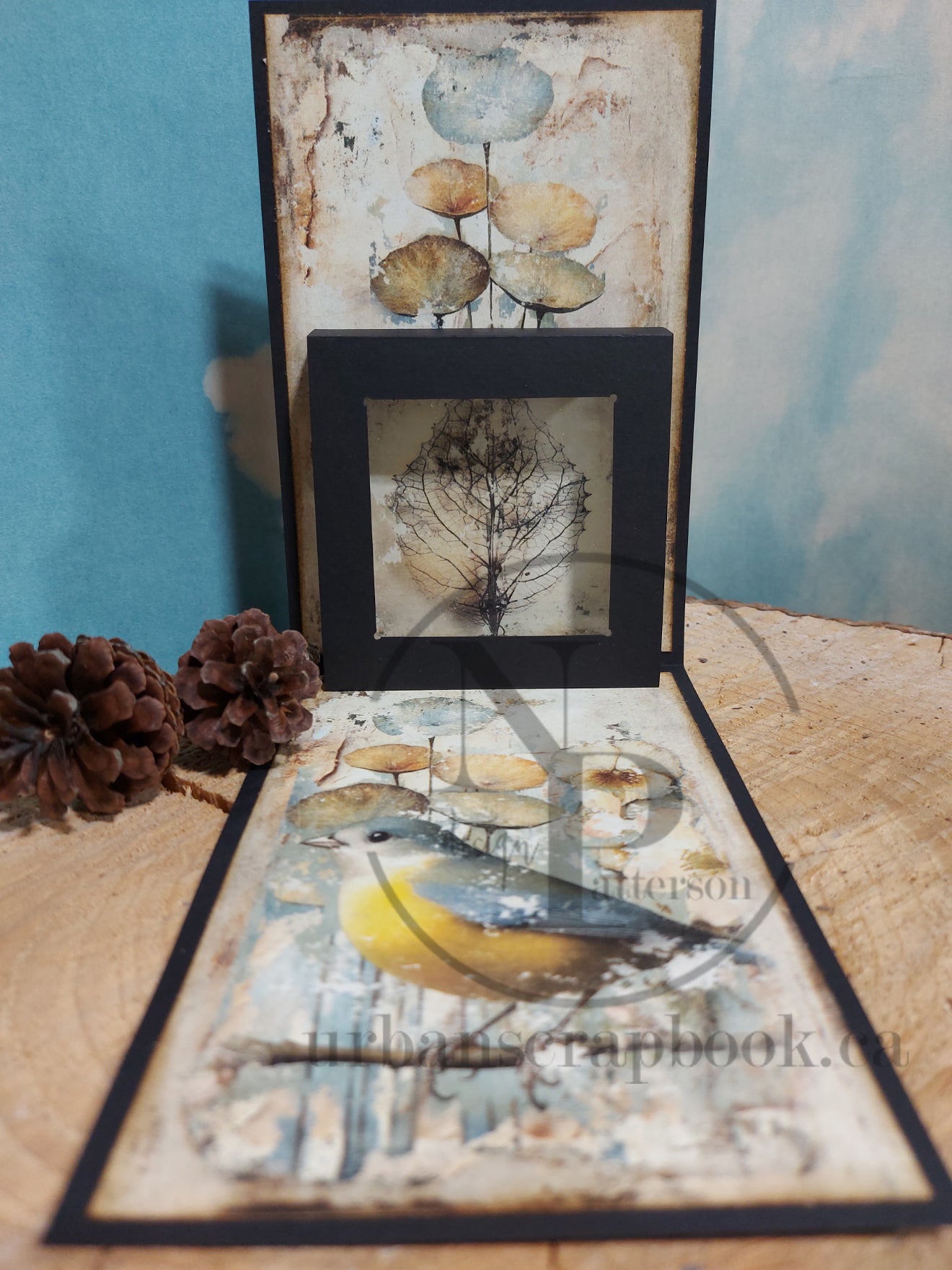 DIY Project ~ Pop up cards (two card kit)
