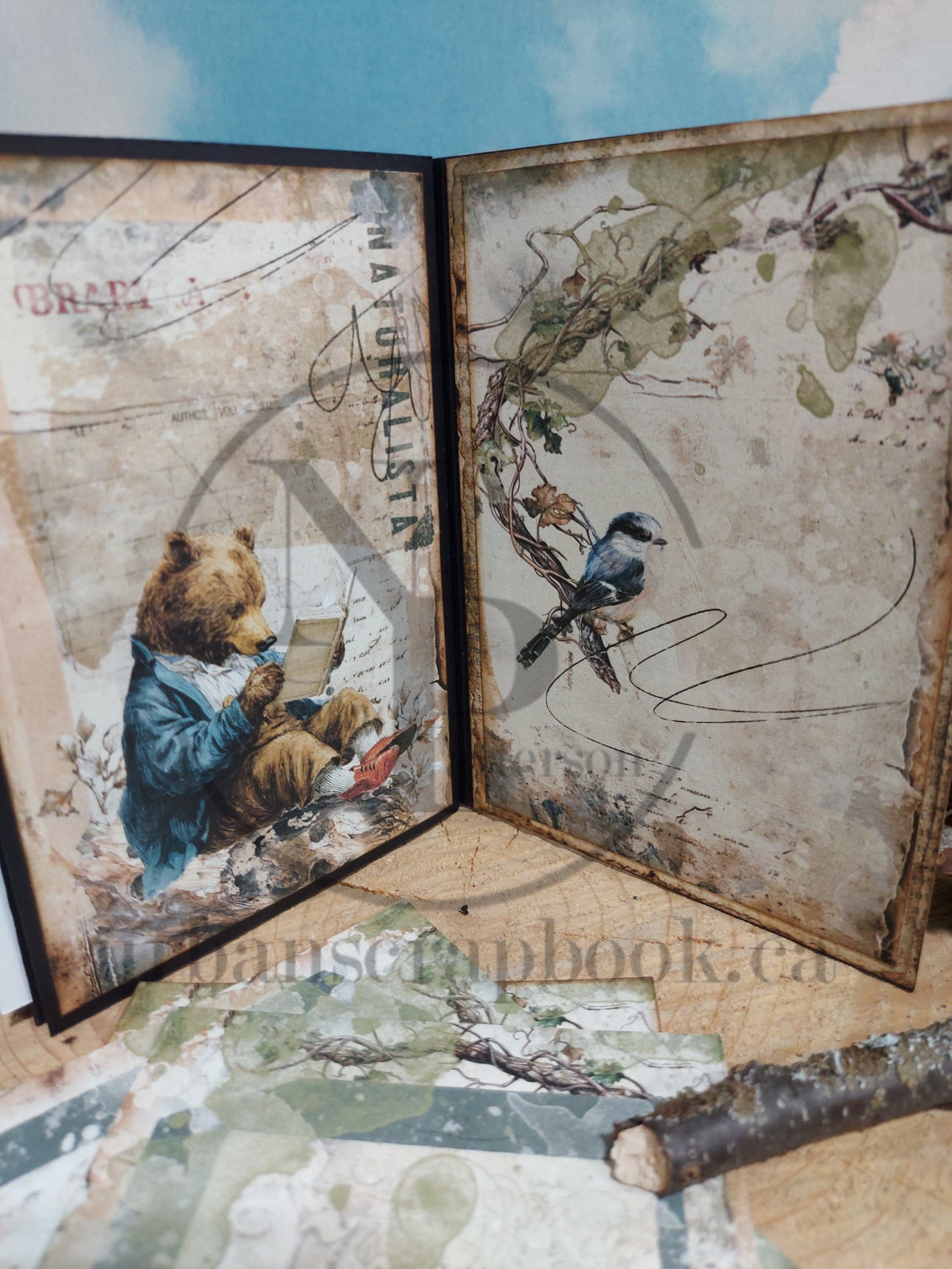 Class ~ Forest Reading Album, Kit Only