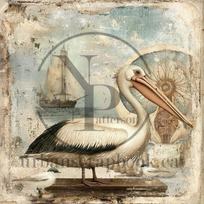 Urban's Own Copy right Image Pelican Ocean theme  