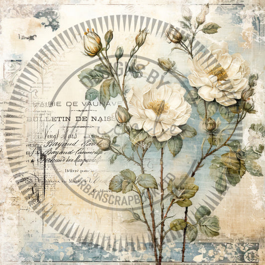 DIY Project ~ Shabby White Rose paper collection