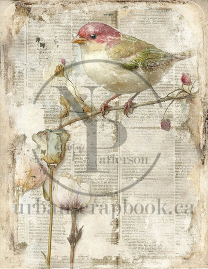 DIY Project ~ Project Page Layout 8