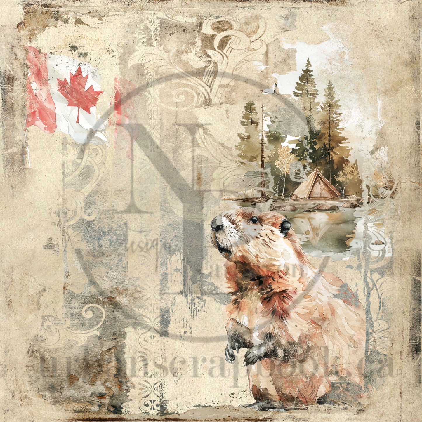 DIY Project ~Oh Canada