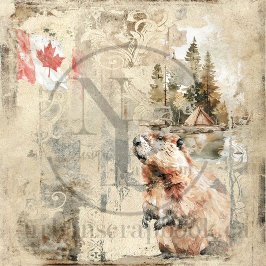 DIY Project ~Oh Canada