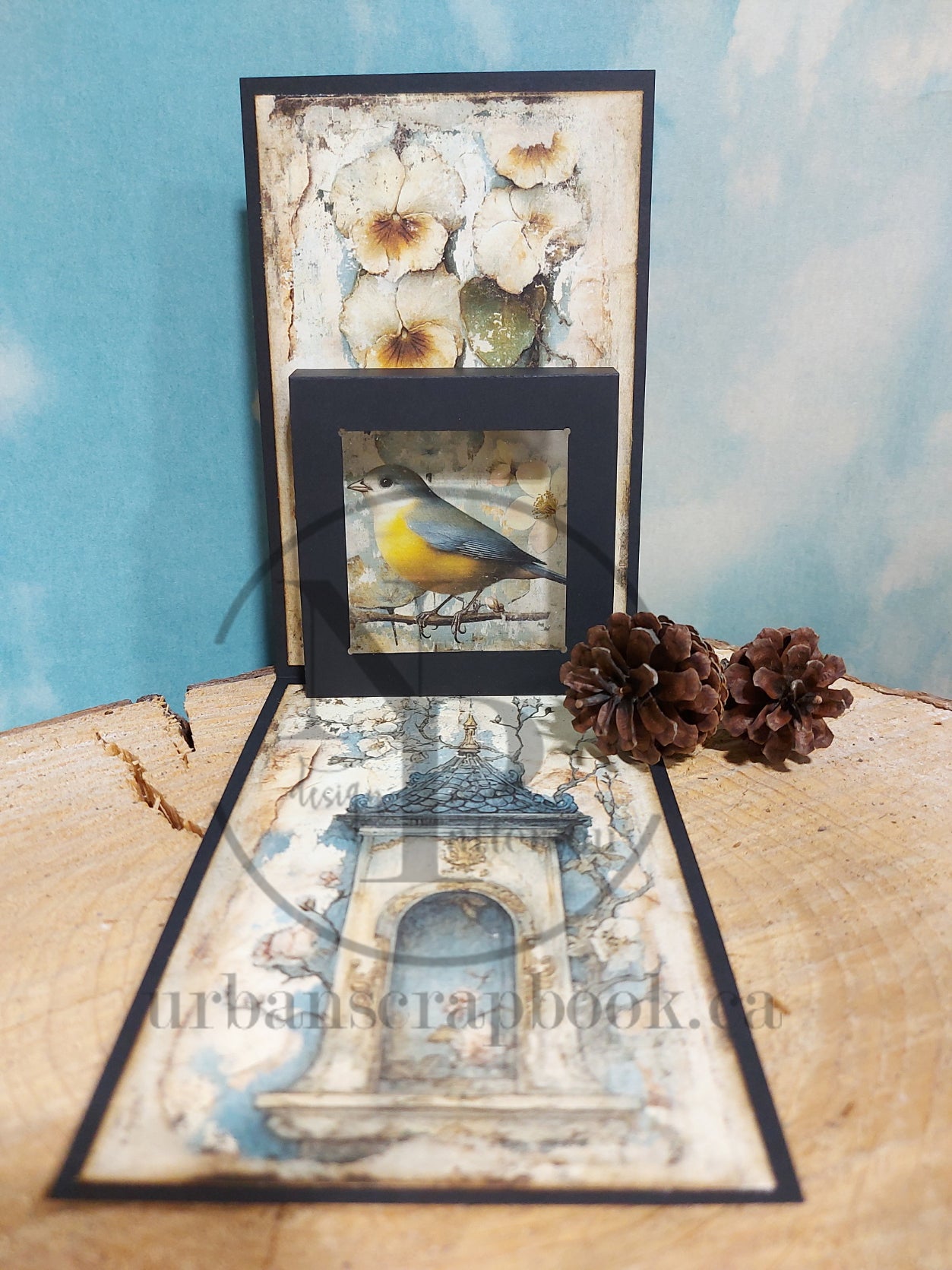 DIY Project ~ Pop up cards (two card kit)