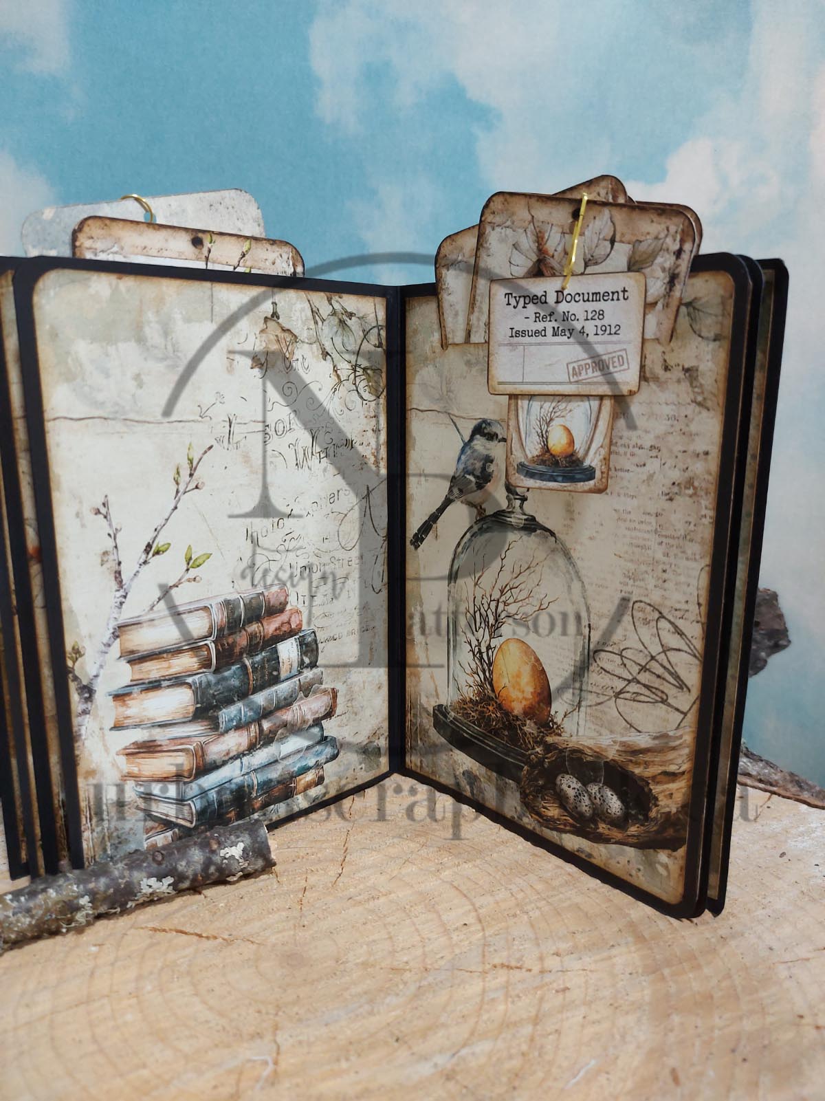 Class ~ NSD Oologist Study Album, Kit Only