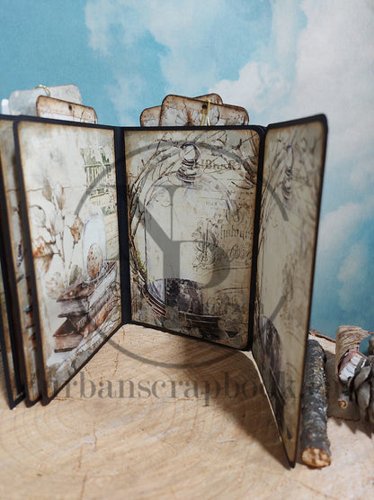 Class ~ NSD Oologist Study Album, Kit Only