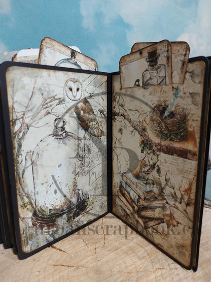 Class ~ NSD Oologist Study Album, Kit Only
