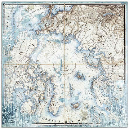 Stamperia - 12x12 Designer Paper - Arctic Antarctic - Arctic