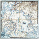 Stamperia - 12x12 Paper - Arctic Antarctic - Arctic