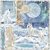 Stamperia - 12x12 Paper - Arctic Antarctic - Wolf