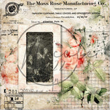 Project Page kits ~ Summer Flowers ~ 6x6"